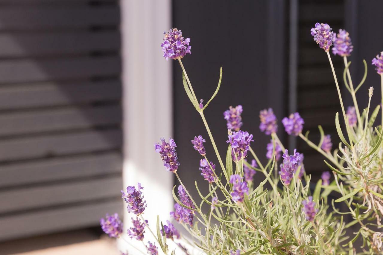 Bentleys Coast And Country B&B Lymington Bagian luar foto