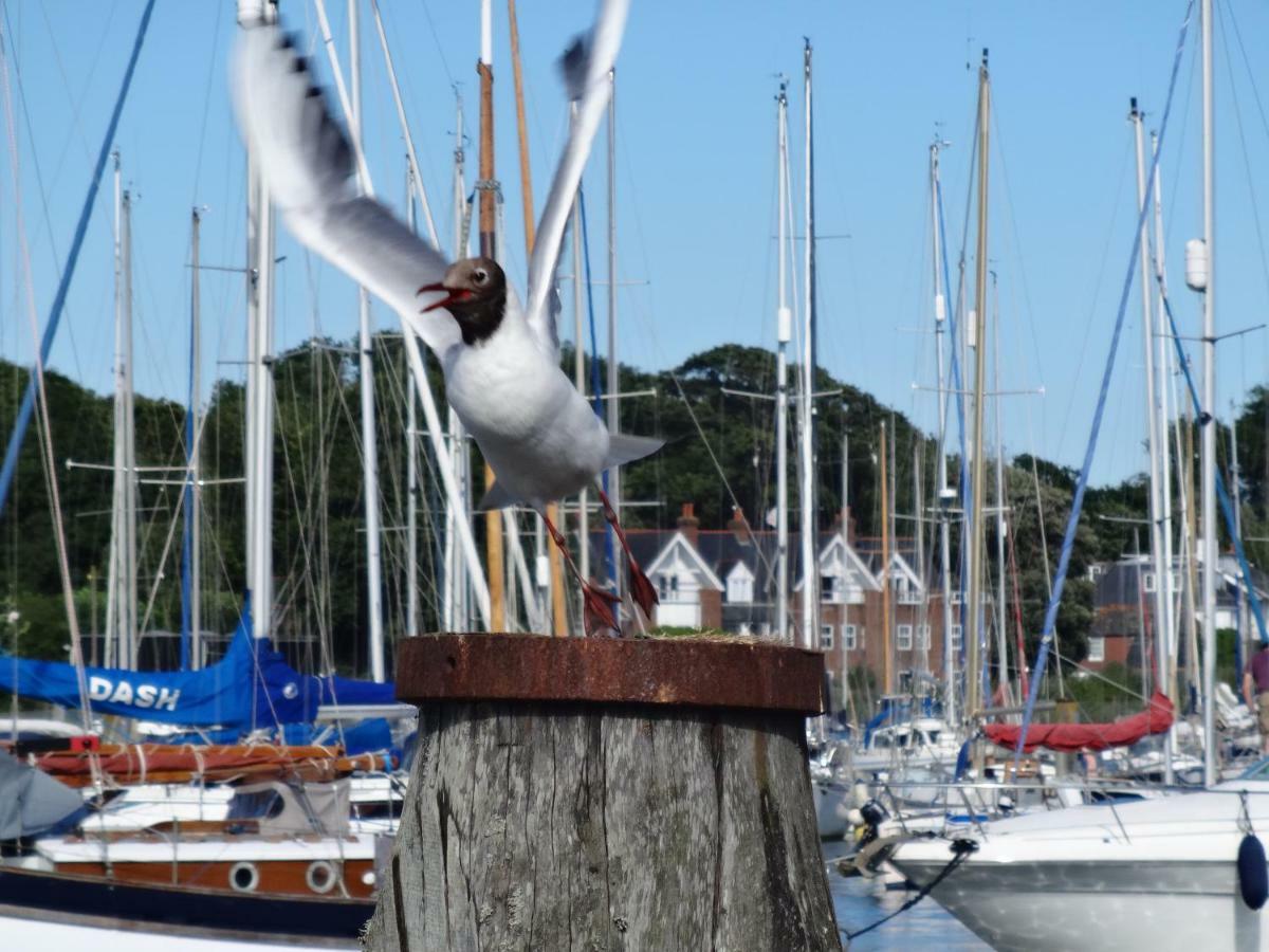 Bentleys Coast And Country B&B Lymington Bagian luar foto